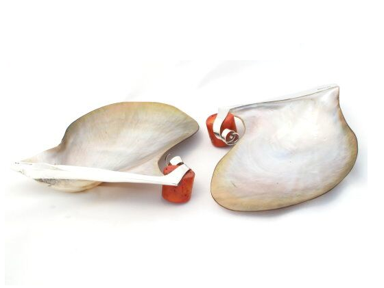 Concha de madreperola